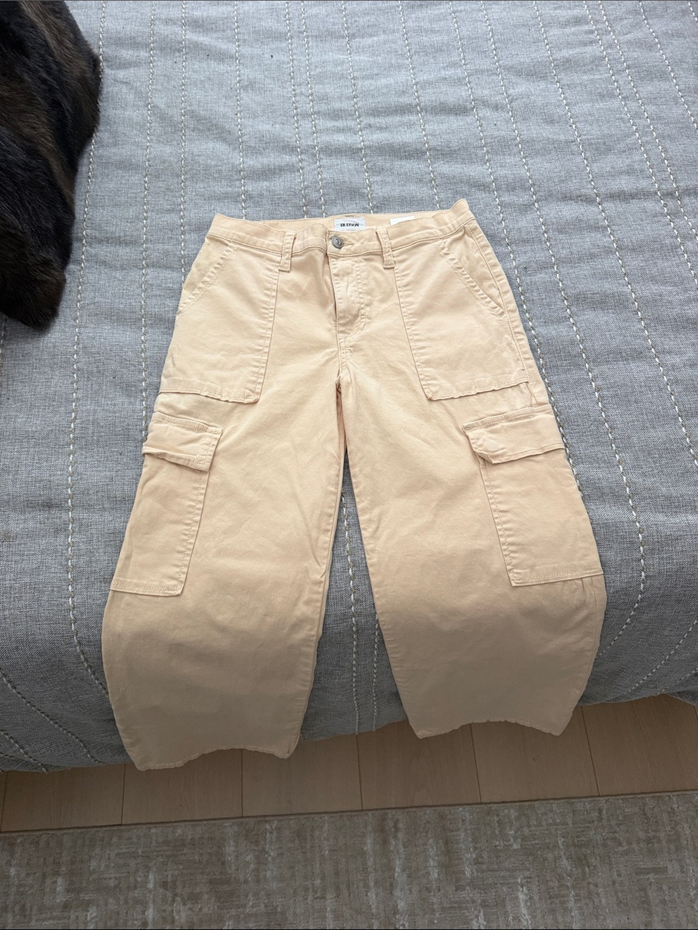 Hudson Rosalie Cropped Pants in Light Beige